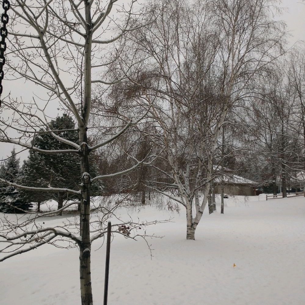 Meet your Posher, Jodi